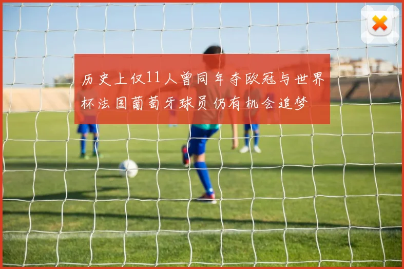 历史上仅11人曾同年夺欧冠与世界杯法国葡萄牙球员仍有机会追梦